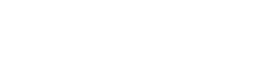 paulink