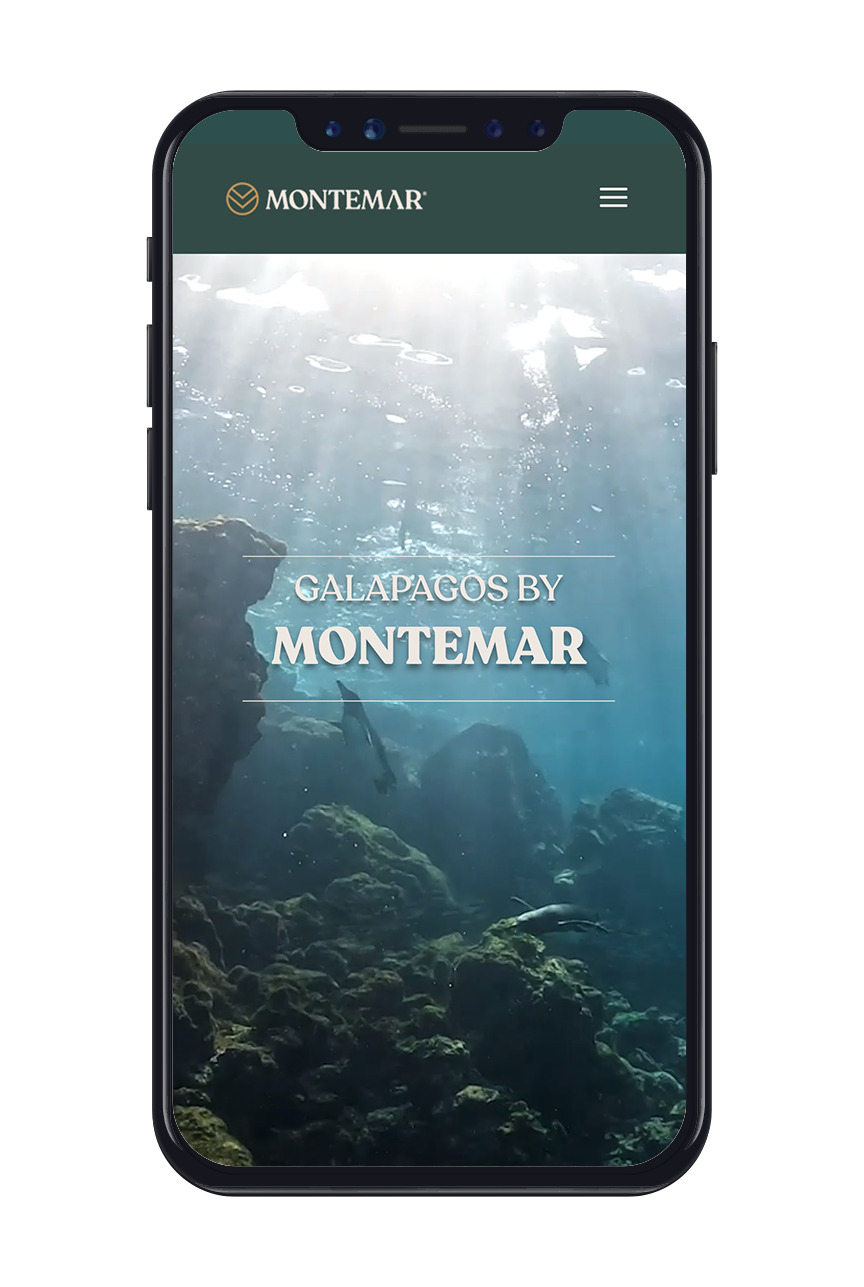phone-montemar